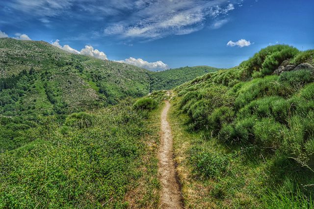 chemin de stevenson