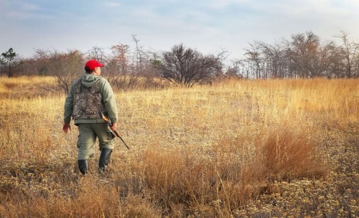 ouverture chasse