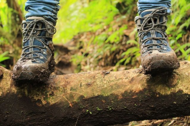 meilleures chaussures de randonnee homme