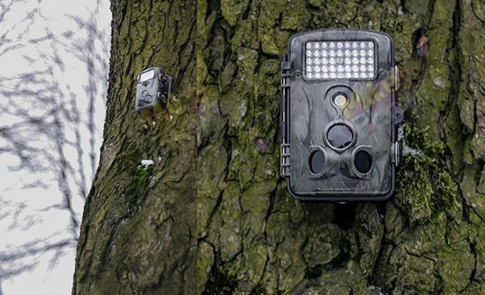 meilleure camera de chasse