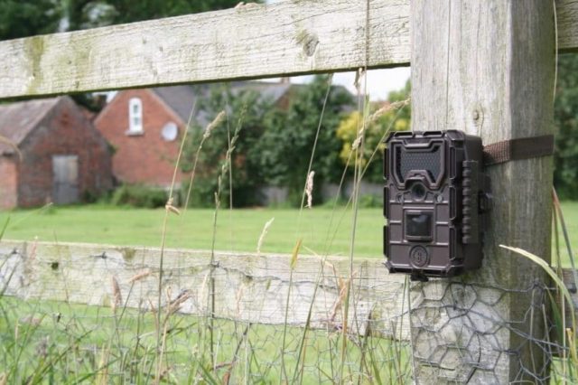 camera de chasse bushnell trophy cam