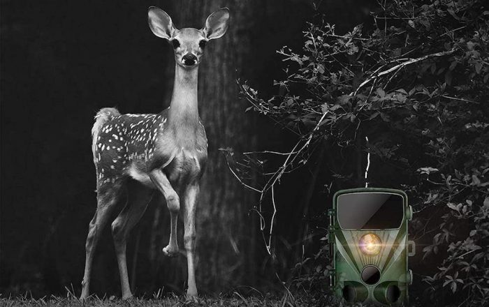 meilleure camera de chasse infrarouge