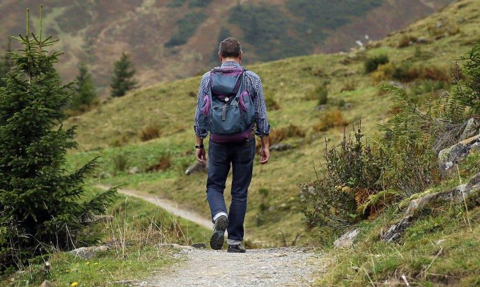 Quels sont les différents types de randonnée pédestre ?
