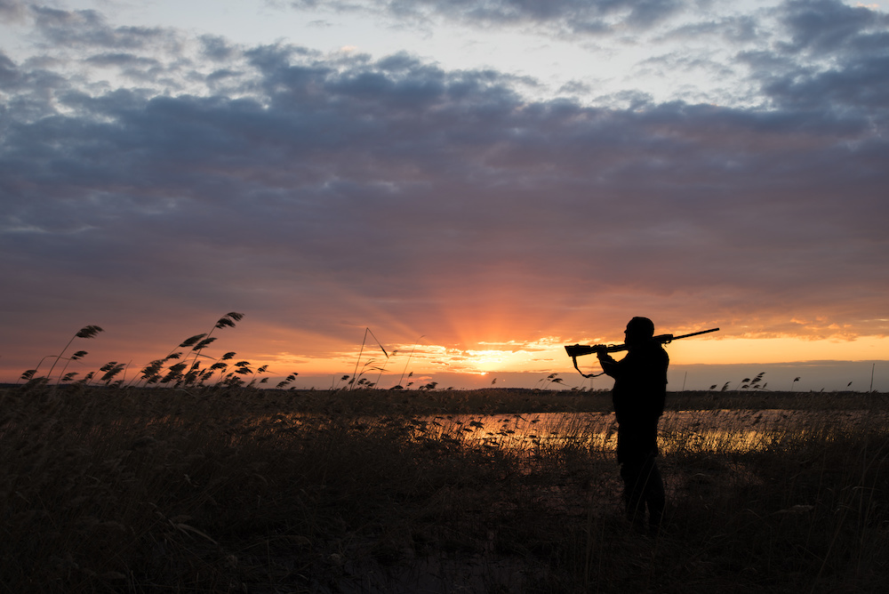 acheter carabine chasse
